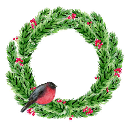Hand drawn watercolor Christmas wreath. Green fir branches and bullfinch on a white background.の写真素材