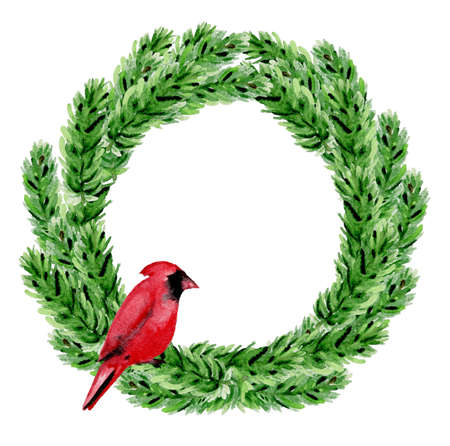 Decorative hand drawn watercolor Christmas wreath. Green fir branches and red cardinal bird on a white background.の写真素材