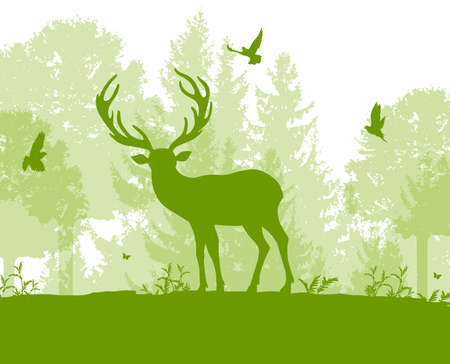 Green nature landscape with deer, tree and birds. Vector illustration.のイラスト素材