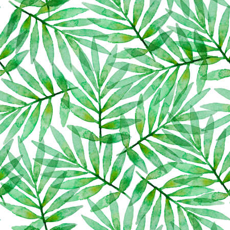 Tropical watercolor seamless pattern with green palm leaves on a white backgroundの写真素材