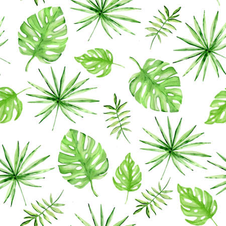 Watercolor summer tropical seamless pattern with green palm leaves on a white backgroundの写真素材