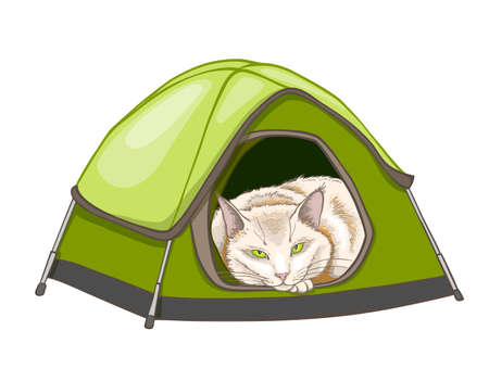 White domestic sleeping cat in the green tent. Hand drawn vector illustrationのイラスト素材