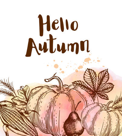 Autumn background with ripe pumpkins, corn and wheat. Hand drawn vector illustration with watercolor textureのイラスト素材