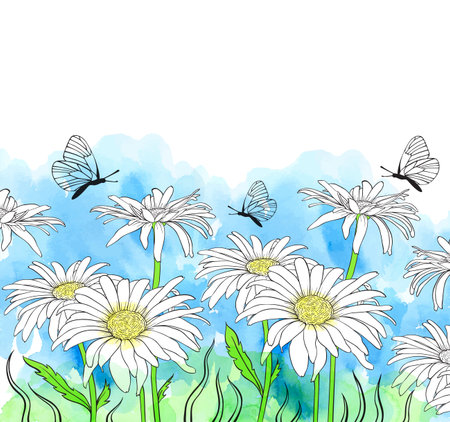 Chamomile flowers and butterfly on a blue watercolor background. Hand drawn vector illustrationのイラスト素材