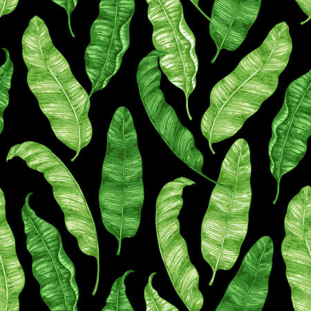 Tropical seamless pattern with green banana leaves on a black background. Hand drawn vintage vector illustration.のイラスト素材
