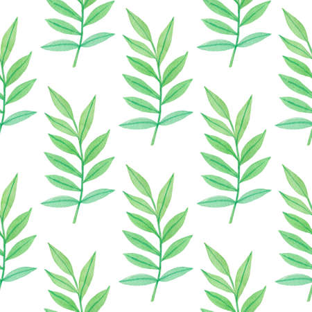 Watercolor seamless pattern with green leaves on a white background.の写真素材