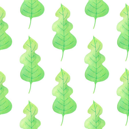 Watercolor seamless pattern with green oak leaves on a white background.の写真素材