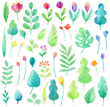 Set of watercolor flowers and leaves on a white background. Hand drawn botanical design elementsの写真素材