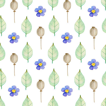 Watercolor autumn floral seamless pattern with green leaves, violet flowers and poppy seeds. Hand drawn nature backgroundの写真素材