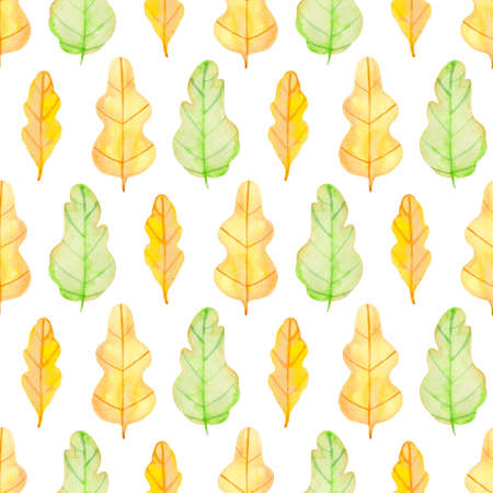 Watercolor autumn floral seamless pattern with green and yellow oak leaves. Hand drawn nature backgroundの写真素材