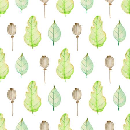 Watercolor autumn floral seamless pattern with green oak leaves and poppy seeds. Hand drawn nature backgroundの写真素材
