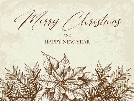 Vintage Christmas greeting card with fir branches and poinsettia flower. Decorative background for Christmas and new year. Hand drawn vector illustration.のイラスト素材