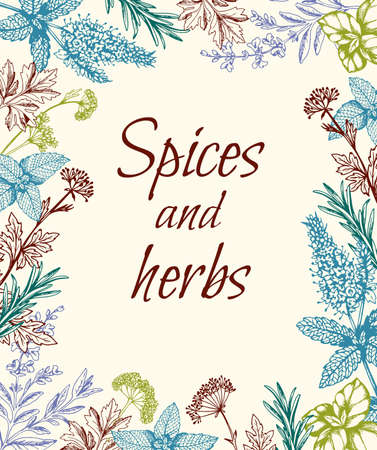 Vintage hand drawn floral background with spices and herbs. Vector illustrationのイラスト素材