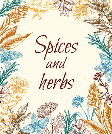 Vintage hand drawn floral background with spices and herbs. Vector illustrationのイラスト素材