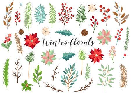 Set of decorative vector winter floral elements. Christmas and new year design kitのイラスト素材