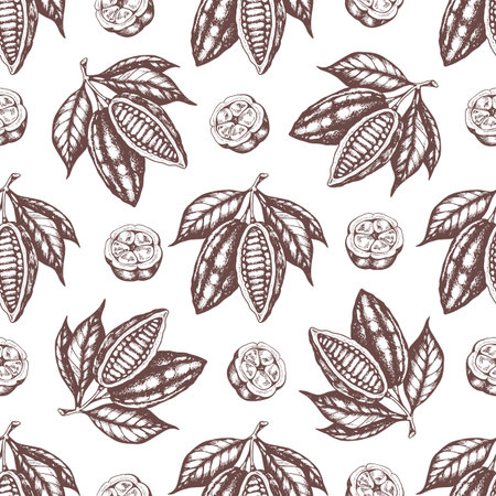 Vintage hand drawn seamless pattern with cocoa beans and cocoa plants on a white background. Vector illustrationのイラスト素材