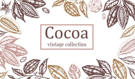 Vintage hand drawn frame with cocoa beans and plants on a white background. Vector illustrationのイラスト素材