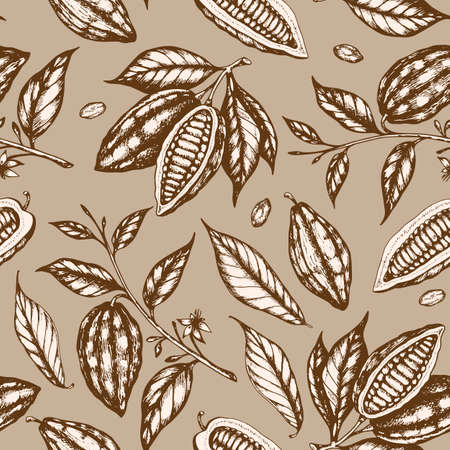Vintage hand drawn seamless pattern with cocoa beans and cocoa plants on a brown background. Vector illustrationのイラスト素材
