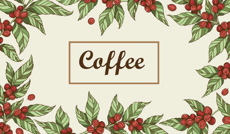 Decorative floral frame with hand drawn coffee plants and coffee beans. Vintage style. Vector illustrationのイラスト素材