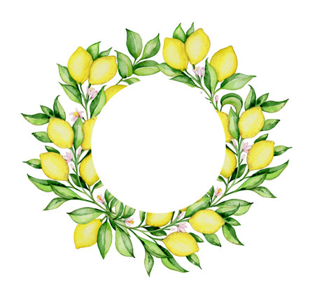 Hand drawn watercolor round floral frame with lemons and green leaves on a white backgroundの写真素材