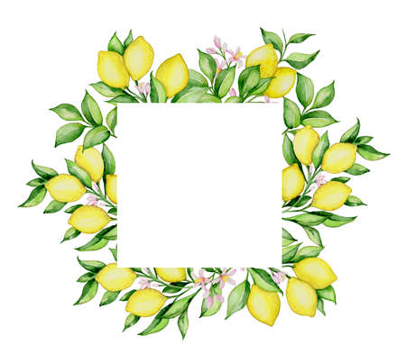 Hand drawn watercolor floral frame with lemons and green leaves on a white backgroundの写真素材