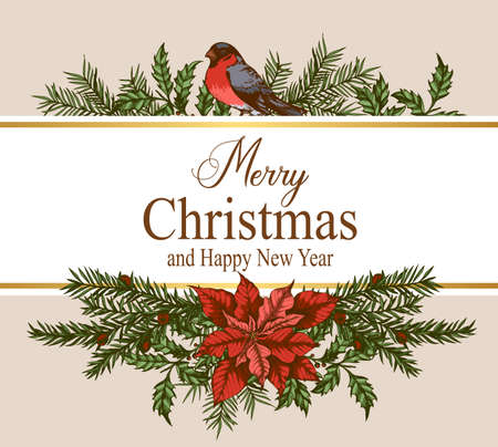 Vintage Christmas greeting card with evergreen plants, red flowers and bullfinch birds. Decorative background for Christmas and new year. Hand drawn vector illustration.のイラスト素材