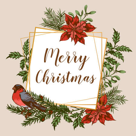 Vintage Christmas greeting card with evergreen plants, flowers and bullfinch birds. Decorative background for Christmas and new year. Hand drawn vector illustration.のイラスト素材