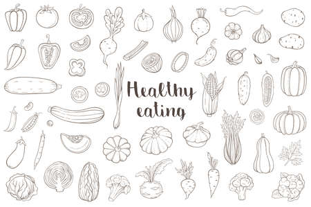 Set of hand drawn vector vegetables on a white background.のイラスト素材