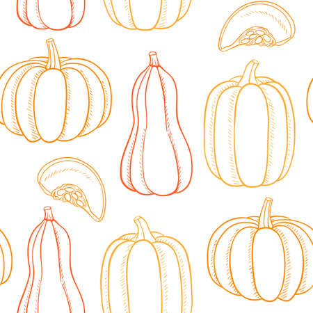 Seamless pattern with pumpkins. Hand drawn vector background.のイラスト素材