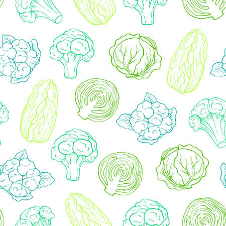 Seamless pattern with green cabbage. Hand drawn vector background. Healthy eating conceptのイラスト素材
