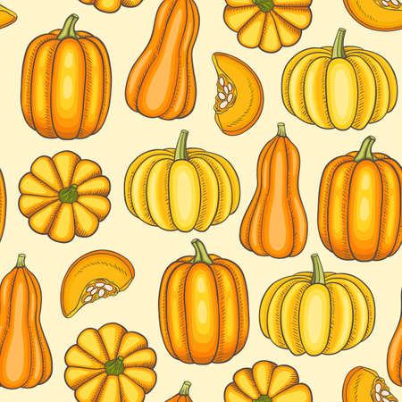 Seamless pattern with orange pumpkins. Hand drawn vector background.のイラスト素材
