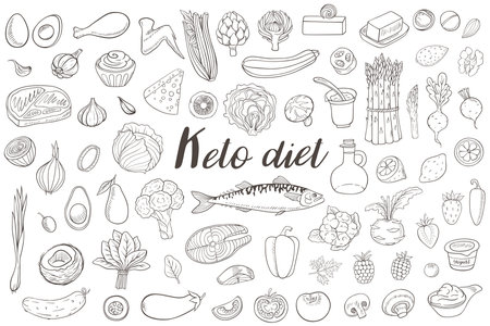 Set of products for the keto diet.  Low carb food for ketogenic diet. Hand drawn vector doodle illustrations.のイラスト素材