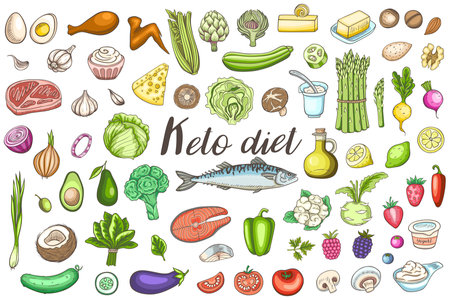 Set of products for the keto diet.  Low carb food for ketogenic diet. Hand drawn vector doodle illustrations.のイラスト素材