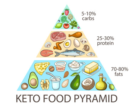 Ketogenic diet food pyramid. Carbohydrate, protein and fats balance infographics. Healthy food concept. Vector illustration.のイラスト素材