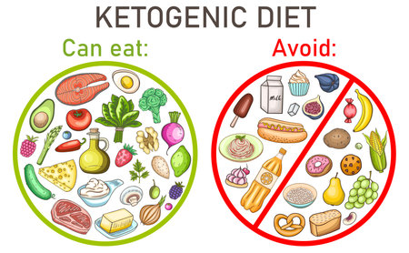 Ketogenic diet low carb food. Healthy food concept. Guide for keto diet. Vector illustration.のイラスト素材