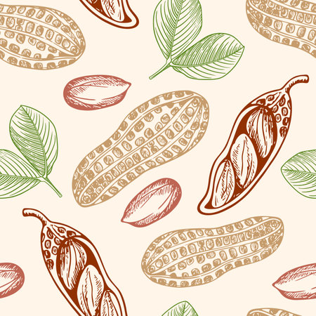 Vintage hand drawn seamless pattern with peanuts. Vector backgroundのイラスト素材