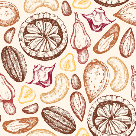 Vintage hand drawn seamless pattern with cashew, almond and brazilian nuts. Vector illustrations. Background with various nuts.のイラスト素材