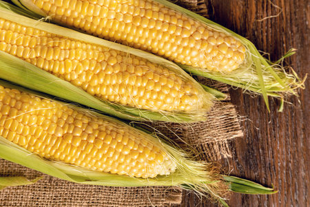Fresh ripe corncobs on a brown wooden background. Rural still life with sweet corn. Top viewの写真素材