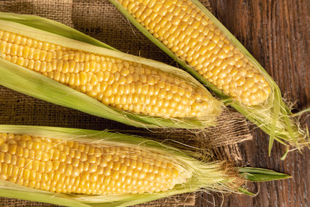 Fresh ripe corncobs on a brown wooden background. Rural still life with sweet corn. Top viewの写真素材