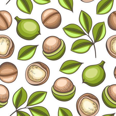Hand drawn seamless pattern with macadamia nuts. Vector background with nuts and green leavesのイラスト素材