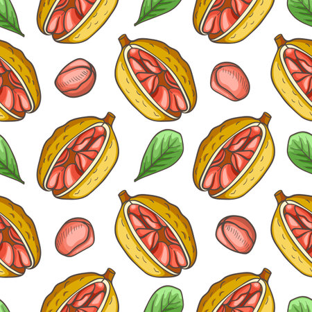 Hand drawn seamless pattern with cola nut. Vector background with nuts and green leavesのイラスト素材