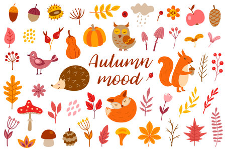 Set of decorative autumn floral and animals design elements. Vector illustrationのイラスト素材
