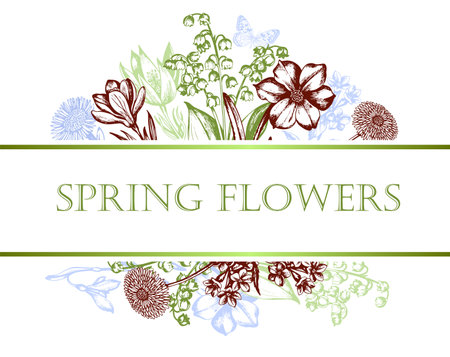 Vintage floral background with spring flowers. Hand drawn vector illustrationのイラスト素材