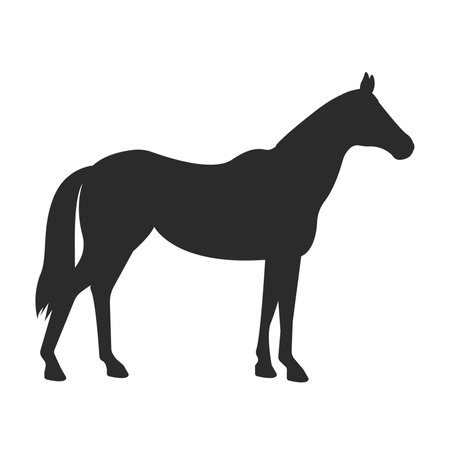 Horse silhouette. Vector illustration.のイラスト素材