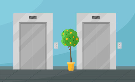 Interior of a hall with two elevators and an orange tree. Hall of an office, agency.