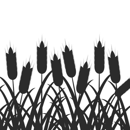 Black silhouette of wheat with grass on white background. Harvest. Agriculture, farming.のイラスト素材