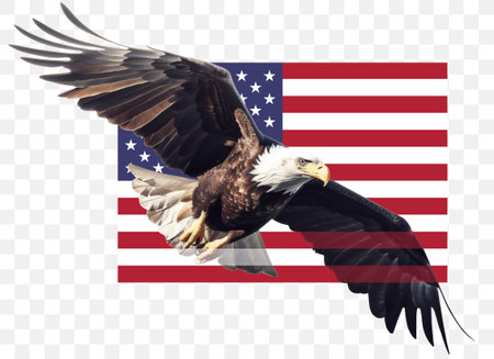 Majestic bald eagle flies against the backdrop of the flag of the United States of America with a transparent background. AI-Generated imageの素材