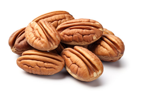 Pecan nut, nutty, food, meal, plant and nature, illustration. AI-Generated image. Fruit, kernel, seed, nutrition, eating and eat, imageの素材