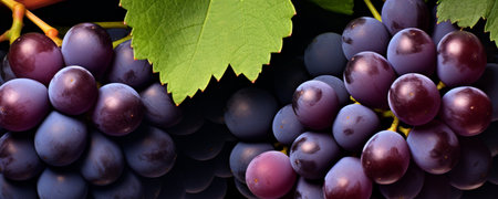 Fresh grapes background. Fruit market. AI-Generated imageの素材