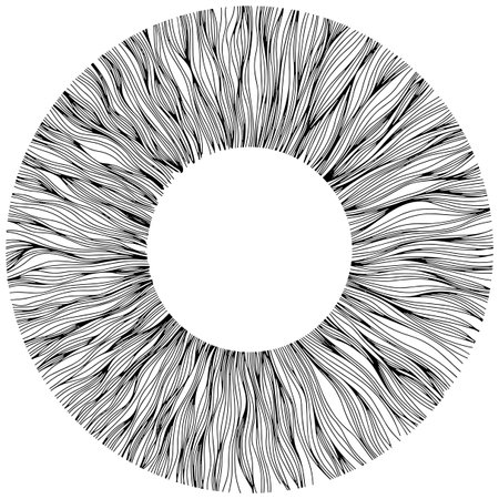 Abstract eye illustration. Iris decorative image. Circle vector line sketch.のイラスト素材